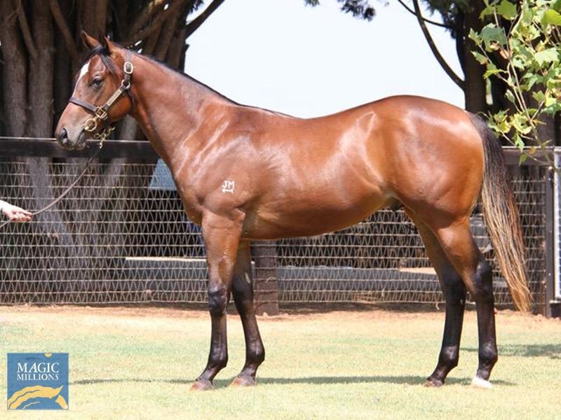 Snitzel/Piping Hot '18