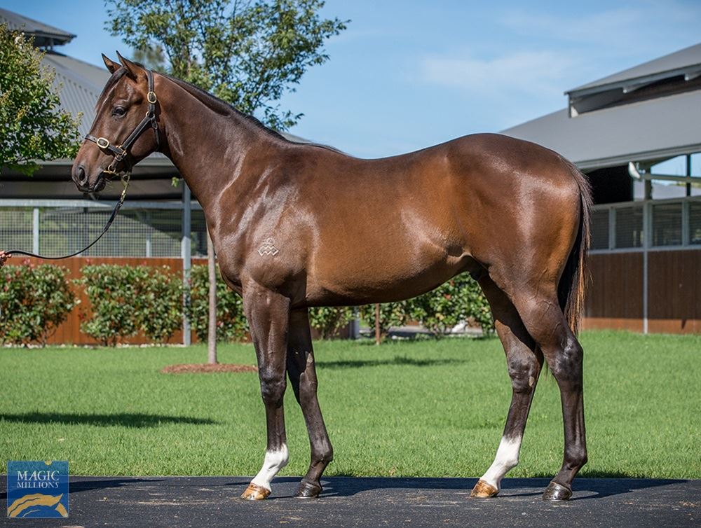 Redoute's Choice/Al Jasrah (IRE) '19