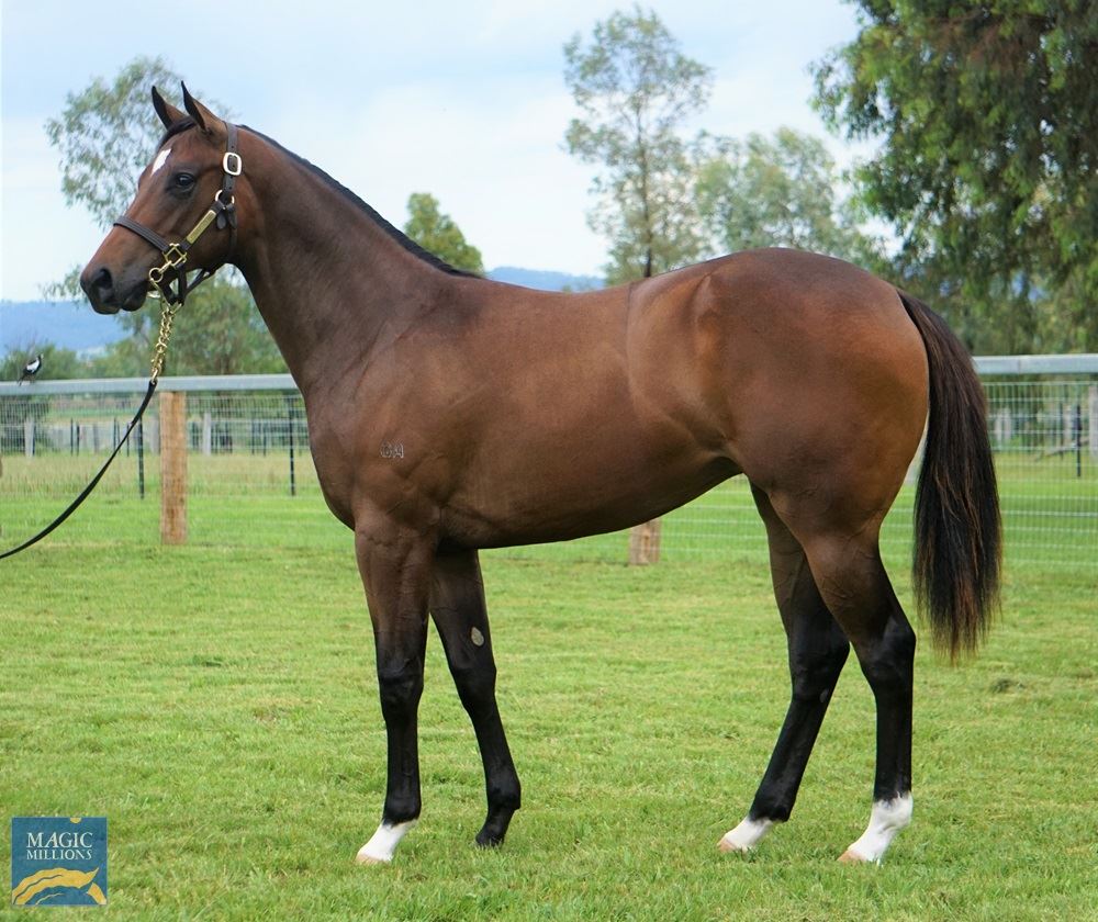 Russian Revolution/Miss Appleton (NZ) '19