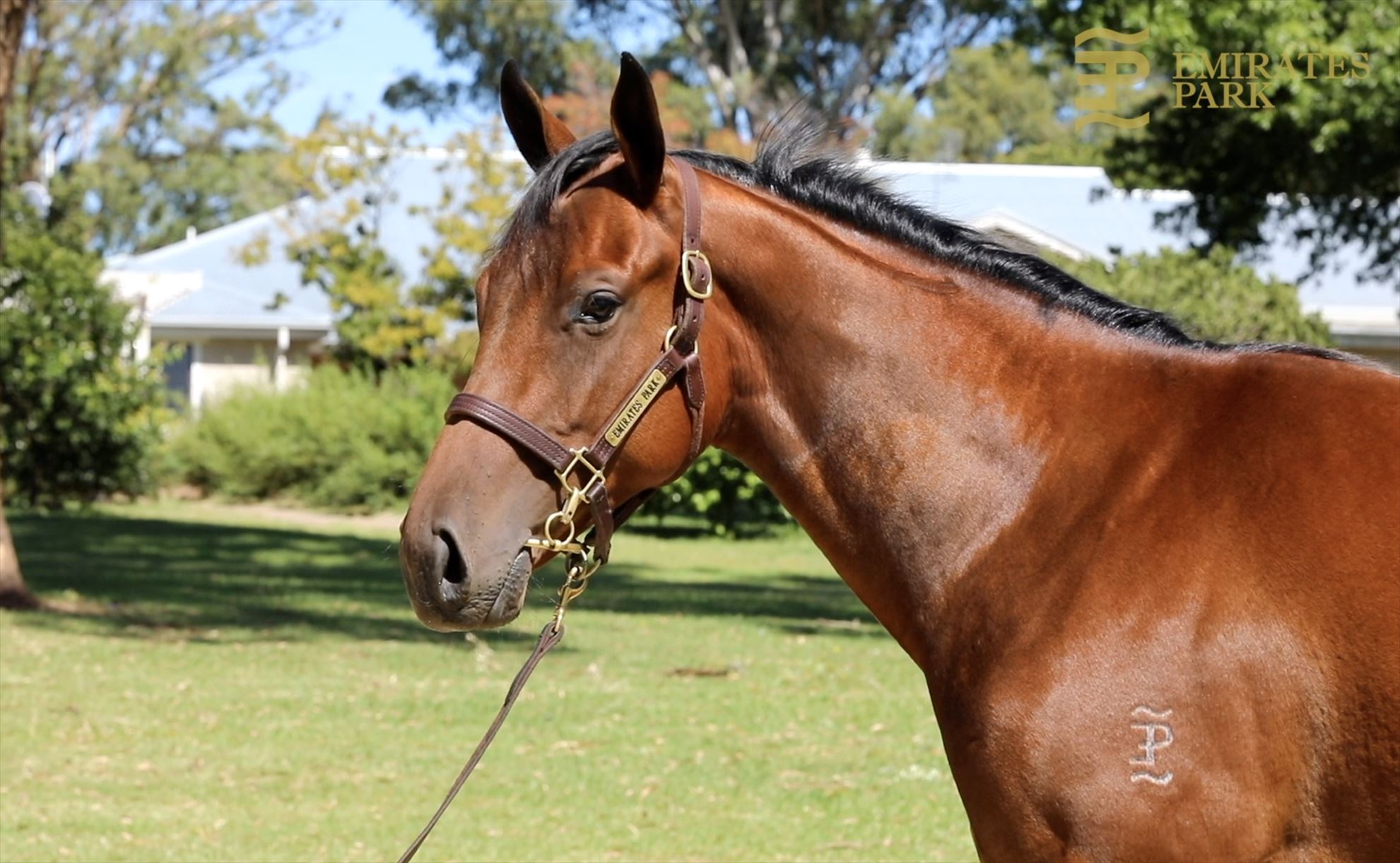 Fastnet Rock/Heredera '19